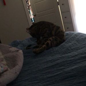 Meet your Posher, Cheryl